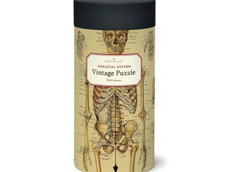 Puzzle Skeletal System 55x70cm - 1000 Peças - Cavallini & Co Supply